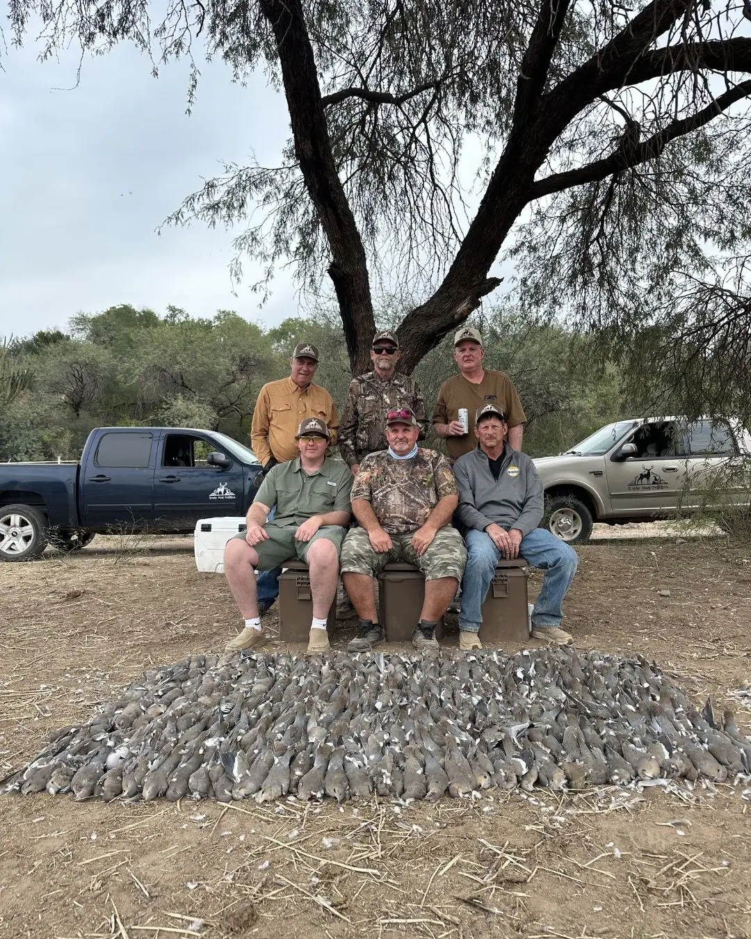 Dove Hunts