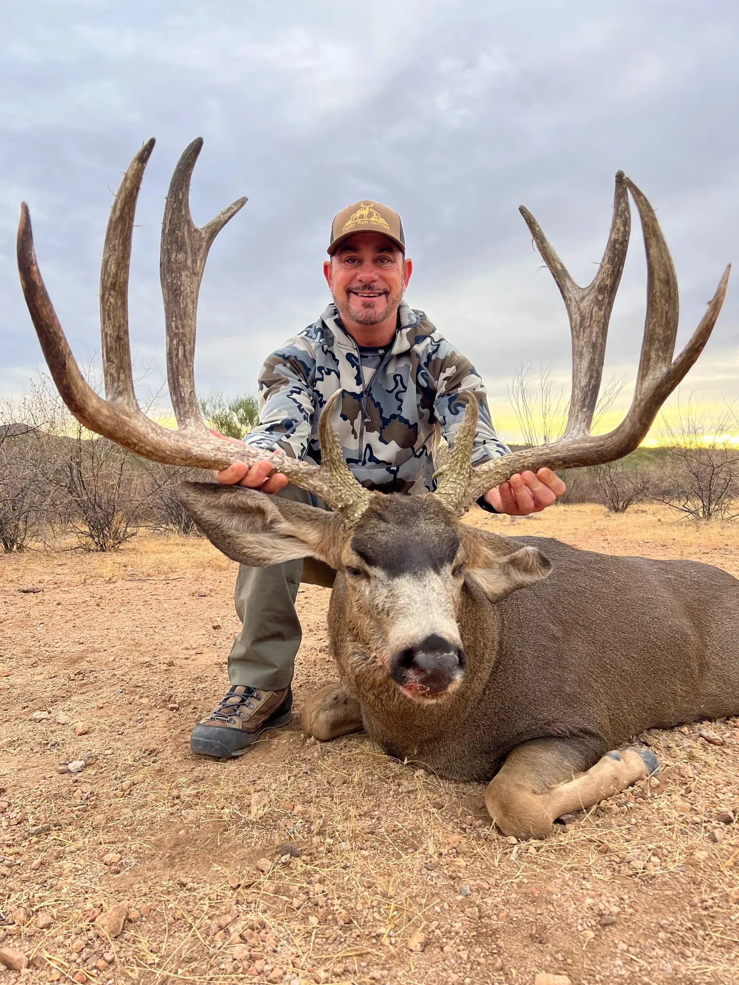 Mule Deer Trophy
