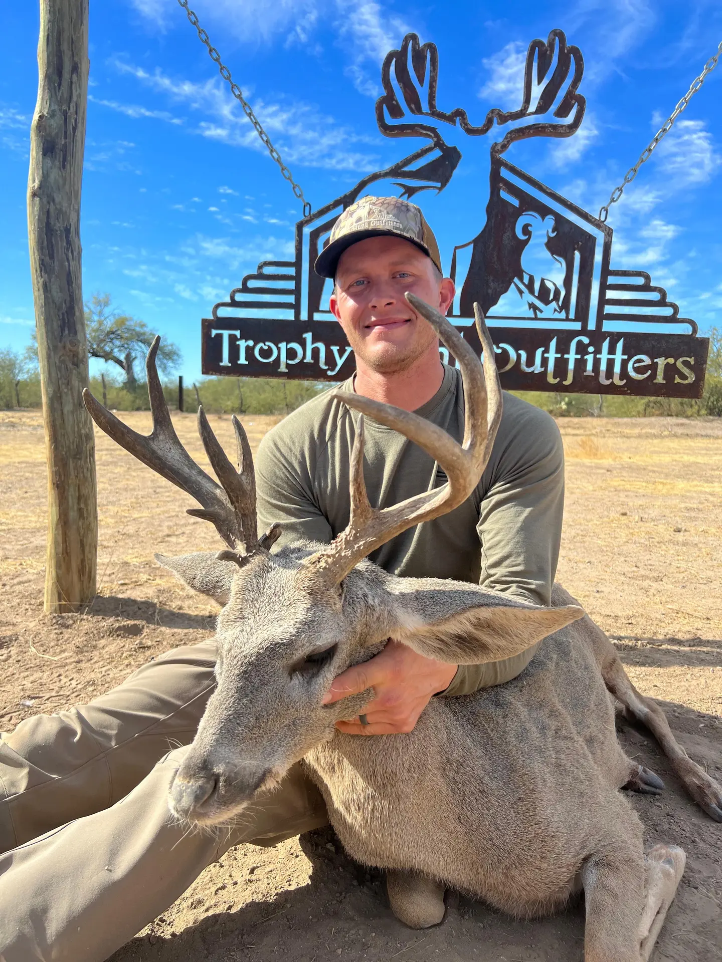 Coues Deer
