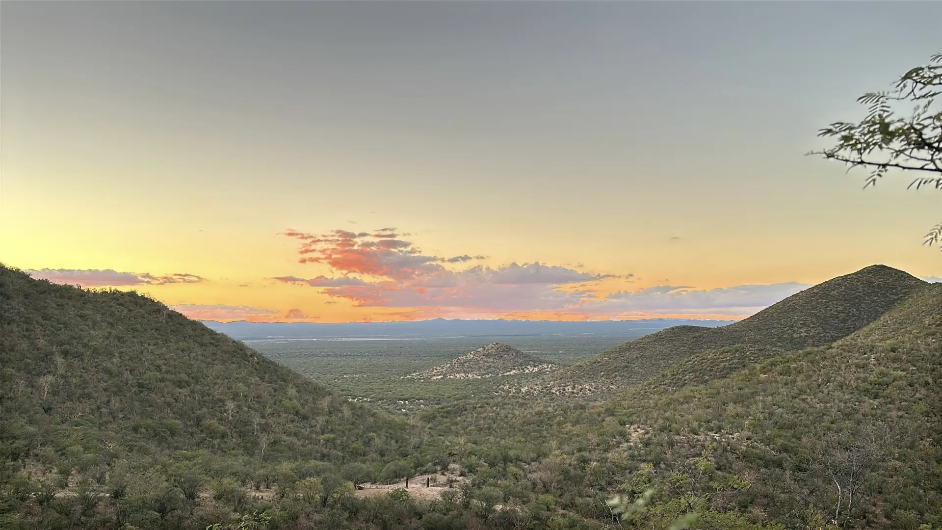 Sonoran sunset